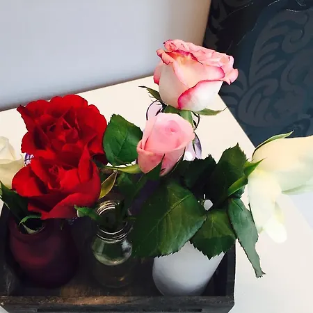 Heddernheimer Hof Otel Frankfurt am Main