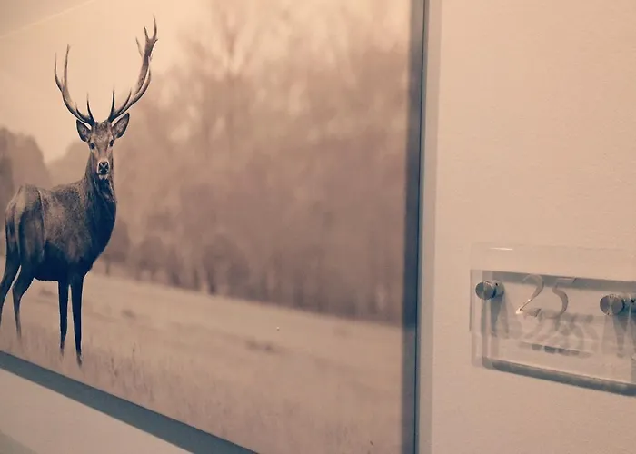 Heddernheimer Hof 3* Frankfurt am Main