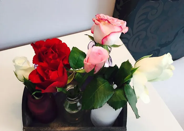 Heddernheimer Hof Отель Франкфурт-на-Майне